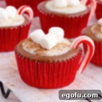 Hot Cocoa Cheesecake Cups recipe.