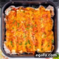 Air Fryer Chicken Enchiladas recipe.