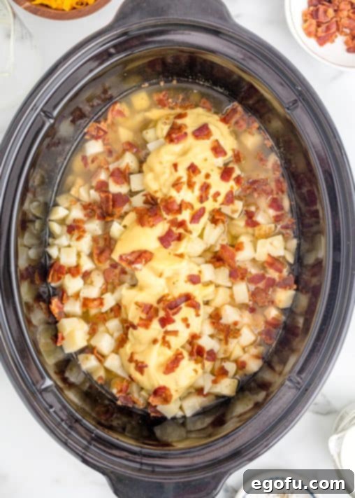 Effortless Slow Cooker Potato Soup with Frozen Potatoes 15 chicken broth, bacon and cream of chicken soup added to the oval slow cooker with the hash browns.