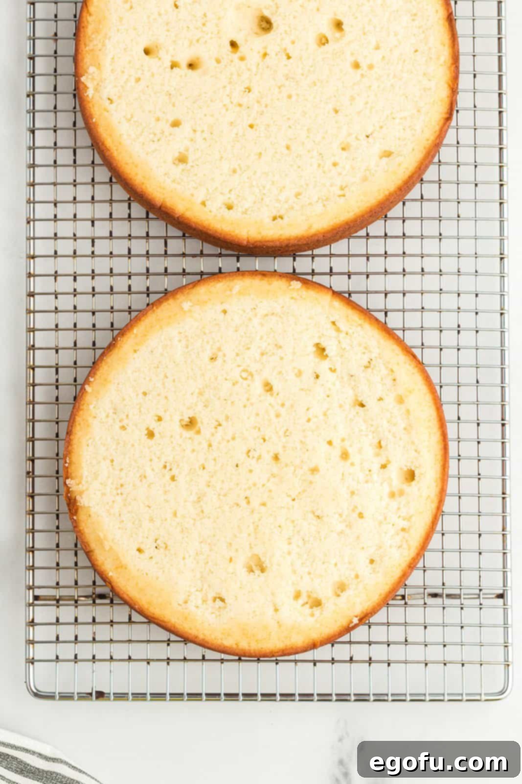 Two white cakes with the tops cut off so they're level.