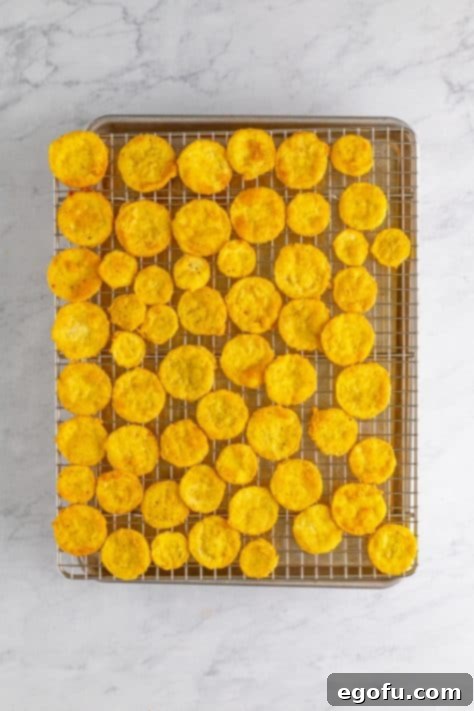 Down Home Fried Squash 18 A wire rack with squash over a sheet pan.