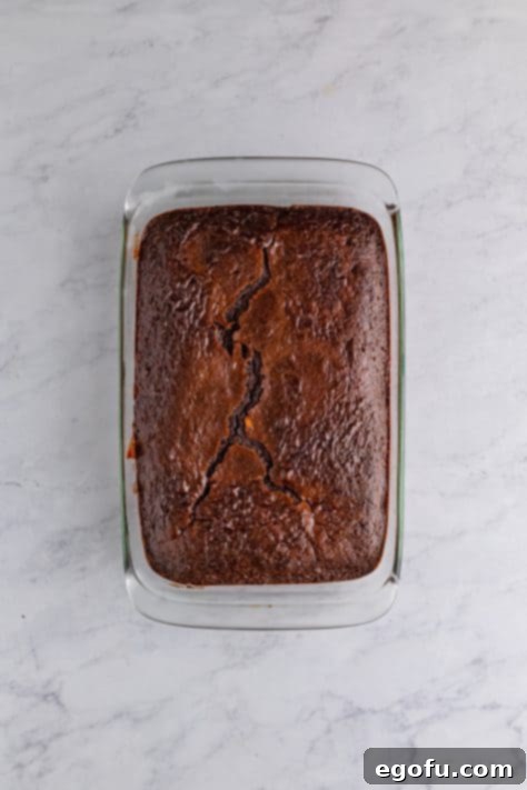 Amore Italian Dream Cake 13 A baked cake with ricotta cheese layer on top.