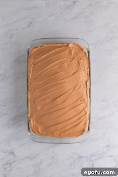 Amore Italian Dream Cake 16 A chocolate cake with a chocolate whipped pudding layer on top.