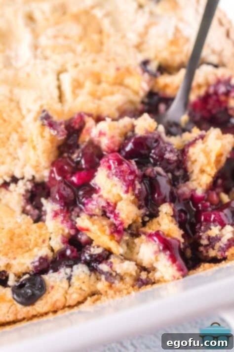 A serving utensil getting a serving of Blueberry Dump Cake out of the dish.