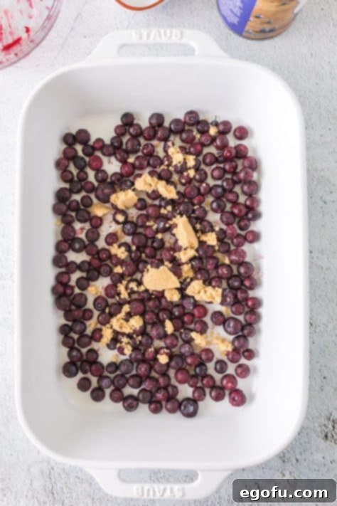 blueberries in a baking dish topped with brown sugar.