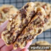 Oatmeal Chocolate Chip Delights 12 Close-up of a warm, broken Oatmeal Chocolate Chip Cookie, showing its soft interior and melted chocolate.