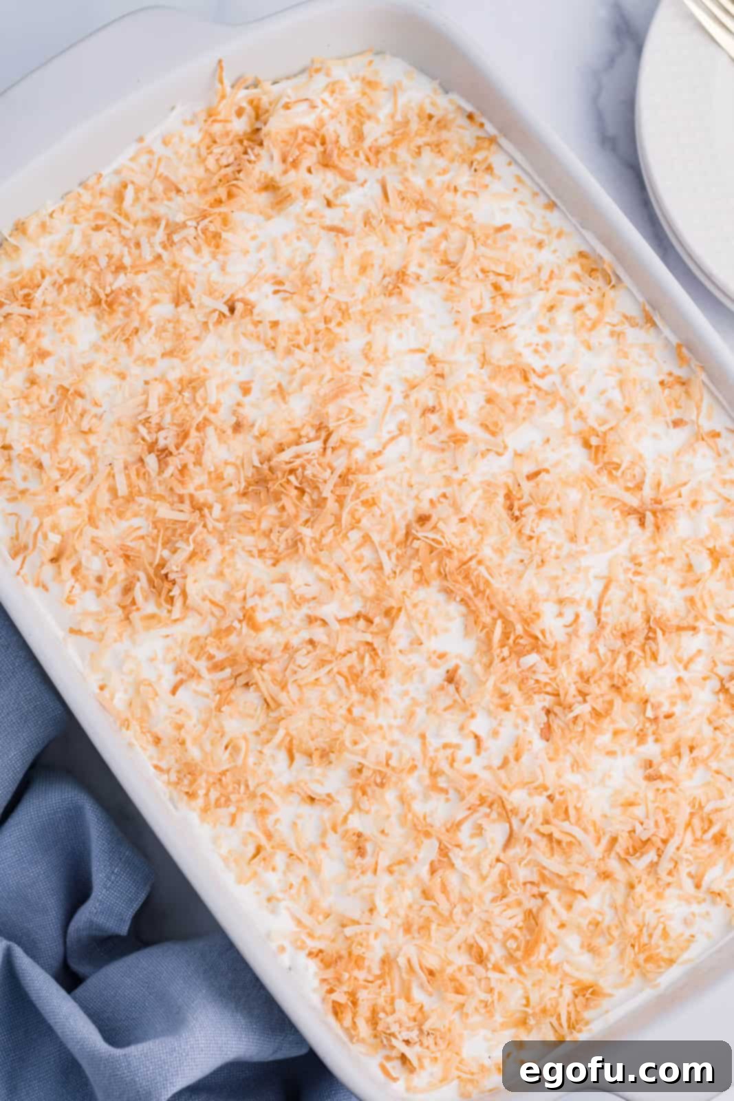 Golden brown toasted coconut flakes sprinkled generously over the top of the whipped topping layer on a Coconut Cream Lush dessert.
