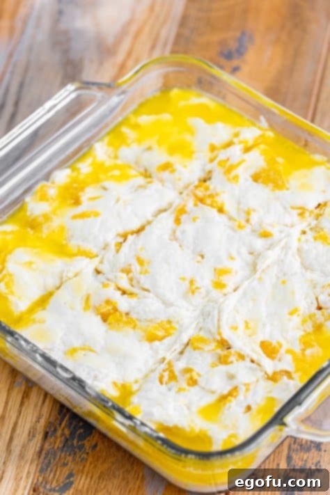 Sun-Kissed Peach Butter Swim Biscuits 21 biscuit dough batter cut into 9 squares before baking.