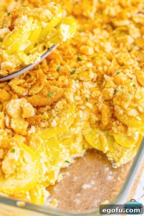 Close up looking at Squash casserole in a baking dish with a serving taken out, garnished with parsley.
