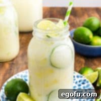 Brazilian Lemon Dream 11 A jar of Brazilian Lemonade with fresh limes.