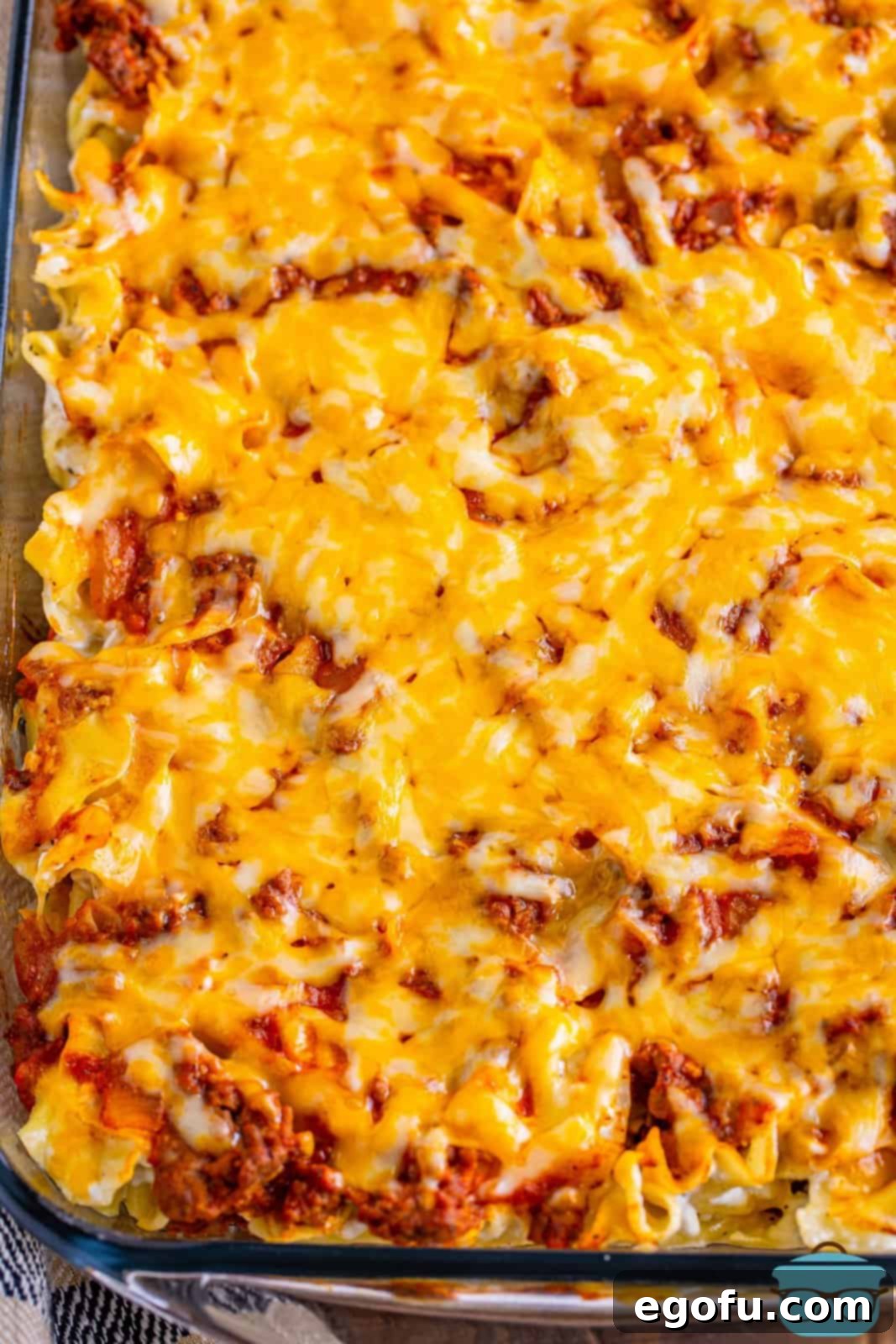 Creamy Baked Noodle Delight 8 A freshly baked baking dish full of golden brown and bubbly Sour Cream Noodle Bake, ready to serve.