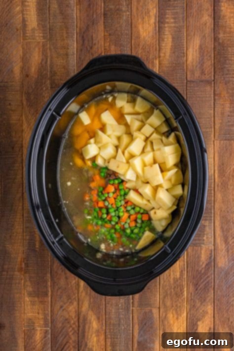 Ground beef, garlic,onion, chicken broth, potatoes, peas and carrots, cheddar soup, and pepper in a crockpot.