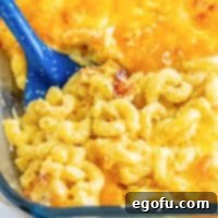 Golden Crusted Macaroni 12 Close up looking at some baked mac and cheese with a serving spoon.