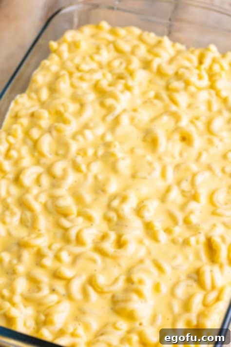 Golden Crusted Macaroni 19 Macaroni and cheese in a baking dish.