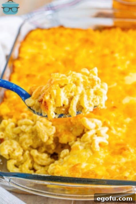 Golden Crusted Macaroni 22 A serving spoon holding a scoop of baked macaroni and cheese.