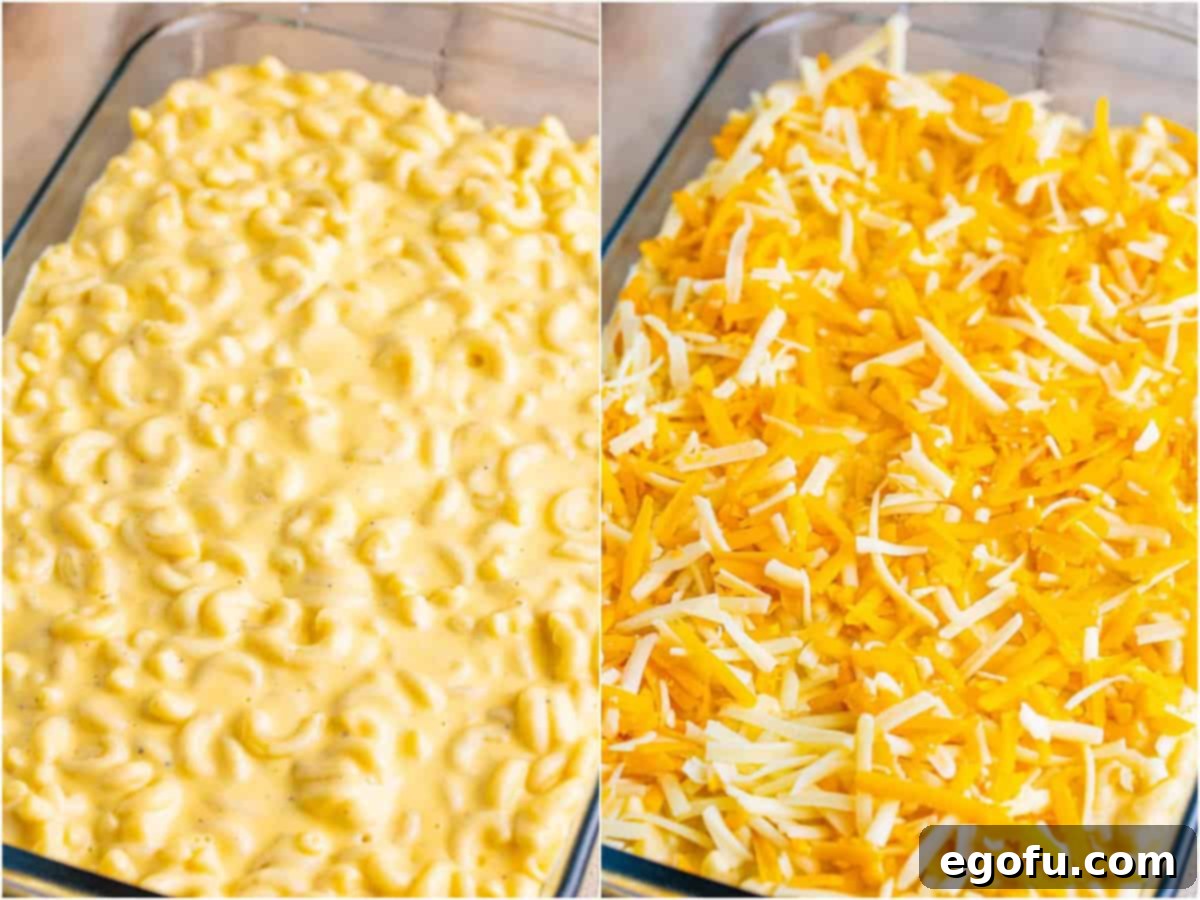 Golden Crusted Macaroni 9 A collage of two photos: the creamy macaroni and cheese mixture perfectly settled into a clear baking dish; a blanket of shredded cheese completely covering the mac and cheese mixture, ready for baking.