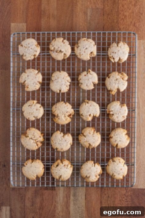 Freshly baked Pecan Sandies cooling on a wire rack after being removed from the oven.