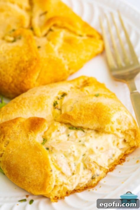 Savory Chicken Pockets 15 Close up looking at a Chicken Bundle that has started to open with the filling coming out.