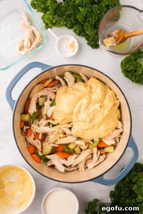 Chicken broth and cream of chicken soup on top of the rest of the ingredients in a large pot.