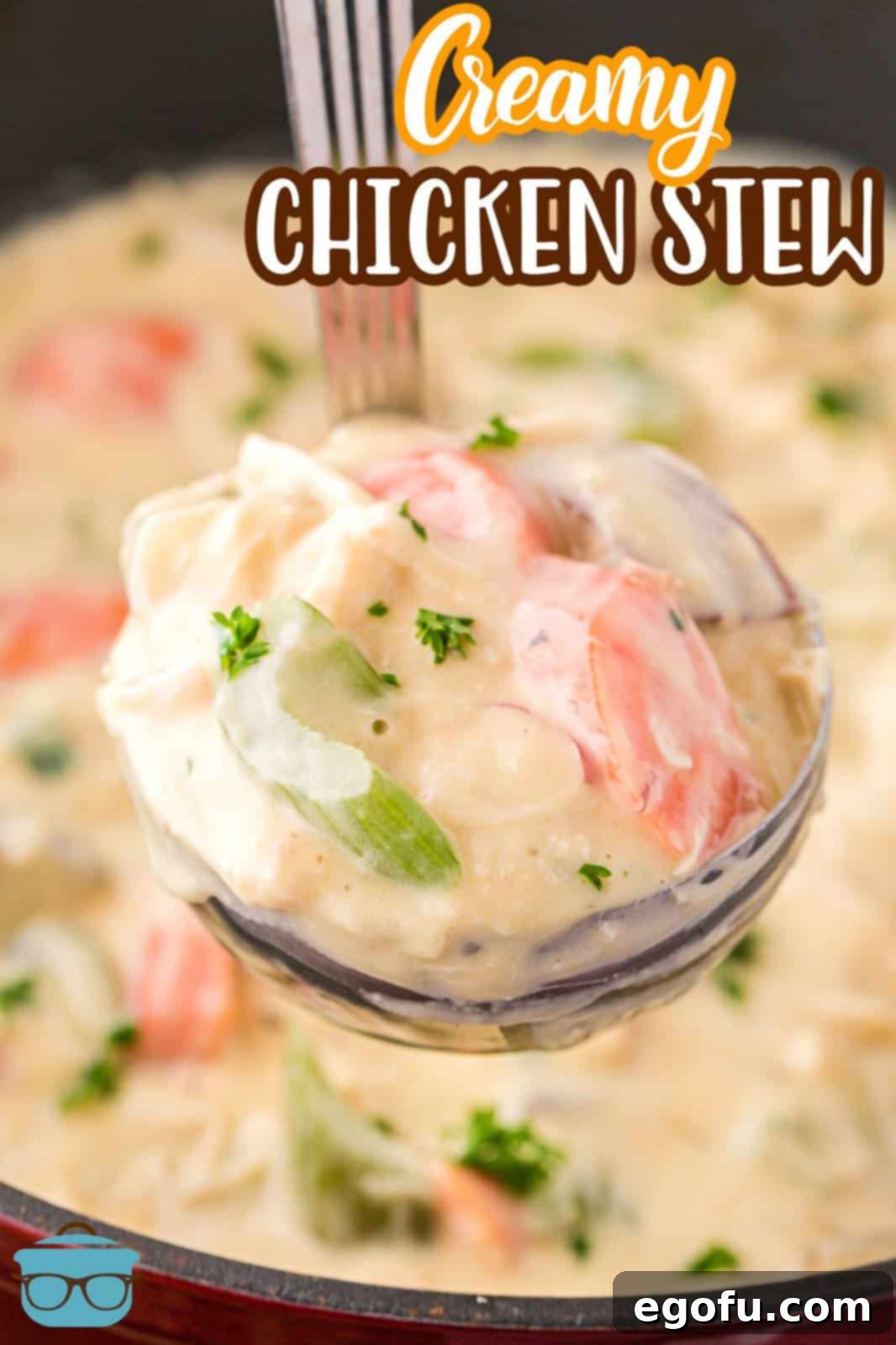 A ladle holding some creamy chicken stew above the pot.
