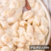 Panera's Signature Creamy Mac and Cheese 9 A close up shot of a bowl of creamy White Cheddar Mac and Cheese, showcasing its rich texture and inviting appearance.