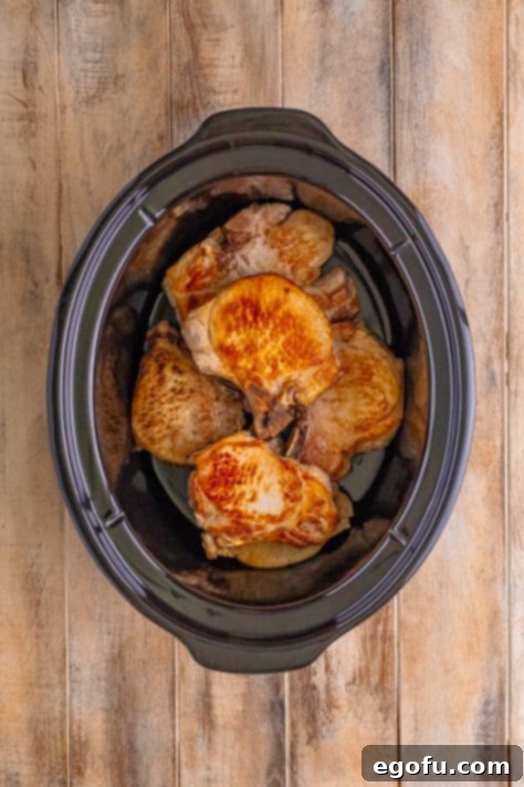 Soulful Mississippi Slow Cooker Pork 13 A slow cooker with seared pork chops nestled inside.