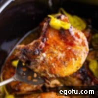 Soulful Mississippi Slow Cooker Pork 10 Closely looking at a Mississippi Pork Chop on a serving spoon, highlighting its texture and sauciness.