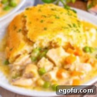 Some Chicken Cobbler with biscuit topping on a plate.