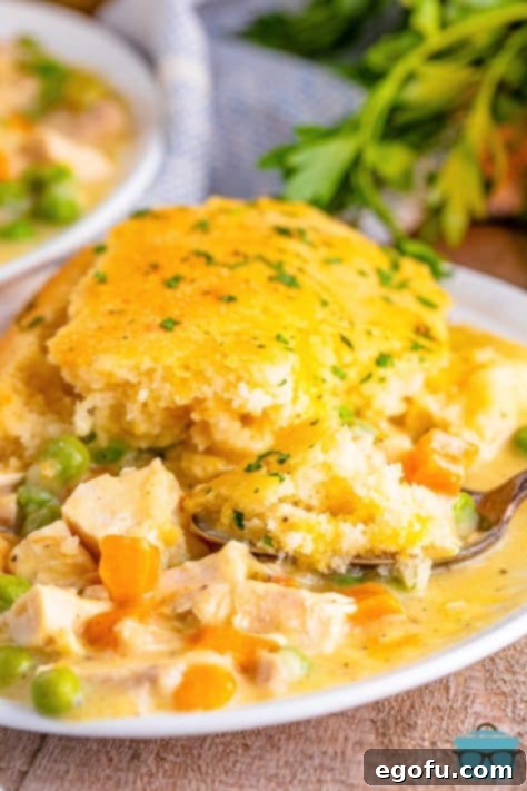 A serving of Chicken Cobbler on a plate, ready to enjoy.