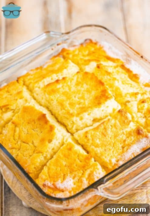 Garlic Butter Bath Biscuits 15 Fresh baked Garlic Butter Swim Biscuits still in the baking dish, golden brown and fluffy.