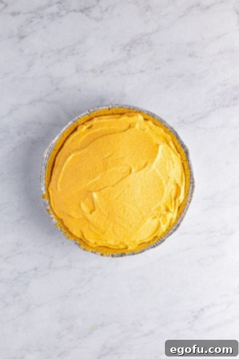 No bake pumpkin cheesecake filling in a crust.