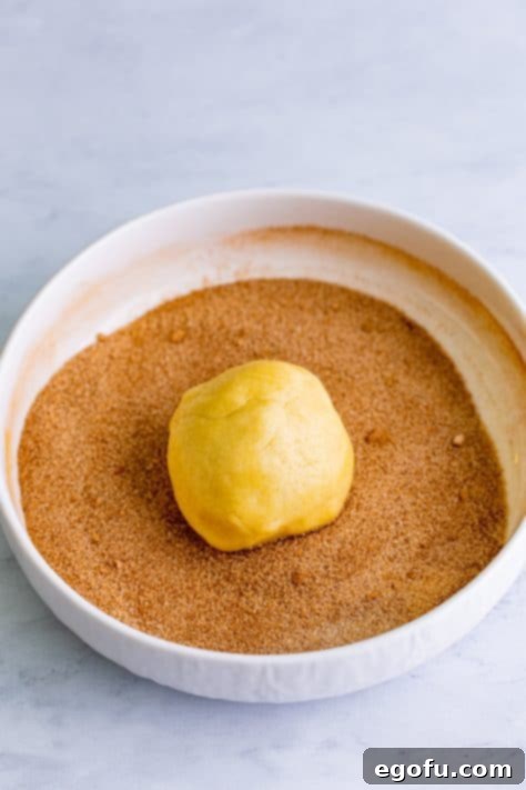 A cookie dough ball in a bowl of cinnamon sugar.