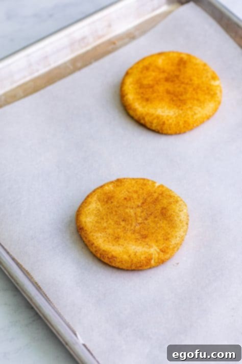 A piece of parchment paper with flattened cookie dough rolled in cinnamon and sugar.