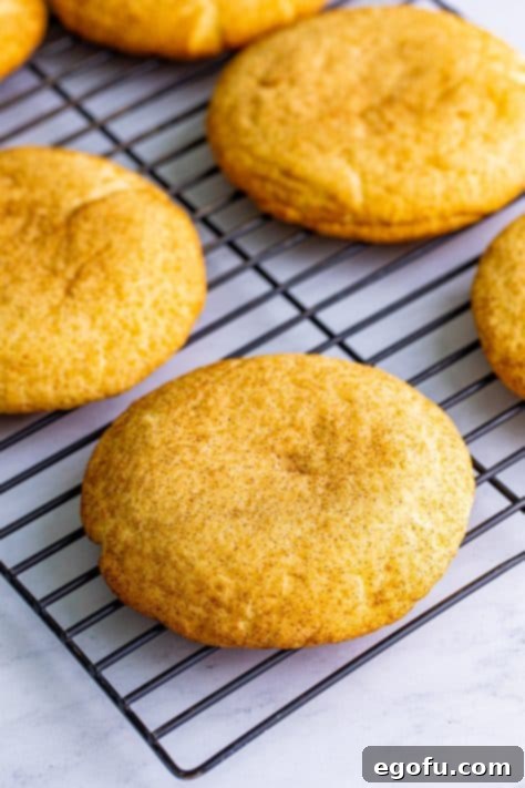 A wire rack with fresh baked snickerdoodle cookies.