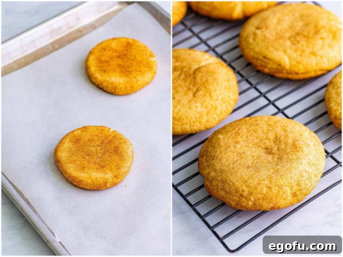 A two-part image showing the baking process for Crumbl Snickerdoodles: flattened, cinnamon-sugar coated cookie dough discs on parchment paper before baking, and a cooling rack filled with freshly baked, golden brown snickerdoodle cookies.