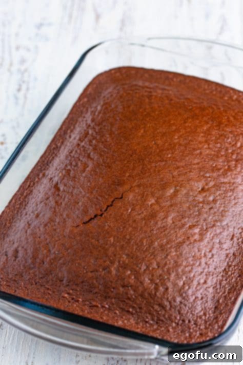 A freshly baked Black Forest cake in a glass dish.