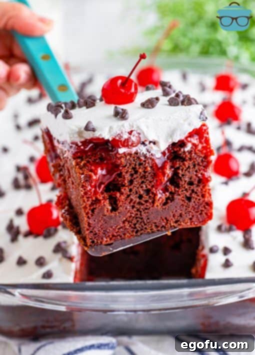 A serving utensil removing a slice of Black Forest cake from the baking dish.