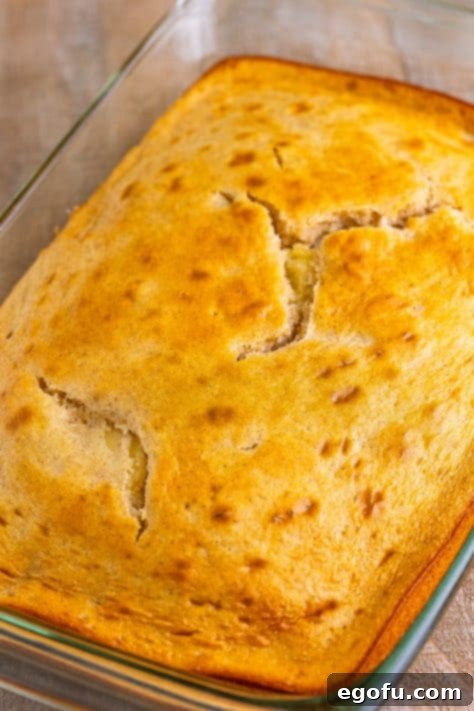 Freshly baked cake in a baking dish.