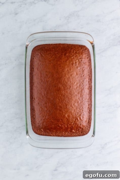 Heavenly Oreo Dream Cake 11 A fully baked devil's food cake, ready for the next steps.