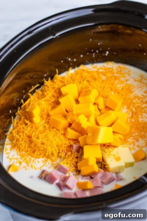 A Crock pot with ham, macaroni, milk, evaporated milk, 3 cups of shredded cheddar cheese, Velveeta, butter, salt, pepper, and ground mustard in it, before mixing.