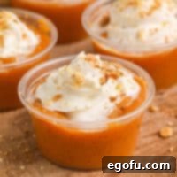 Close up looking at a Pumpkin Pie Pudding shot.