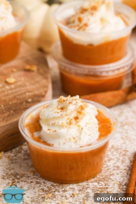 A few pumpkin pie shots with whipped cream and ground cinnamon.