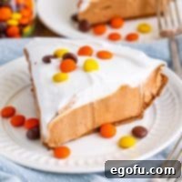 Creamy No Bake Chocolate Peanut Butter Bliss Pie 8 A plate featuring a perfectly portioned slice of No Bake Chocolate Peanut Butter Pie, topped with fluffy whipped cream and a hint of chocolate drizzle, showcasing its creamy layers.