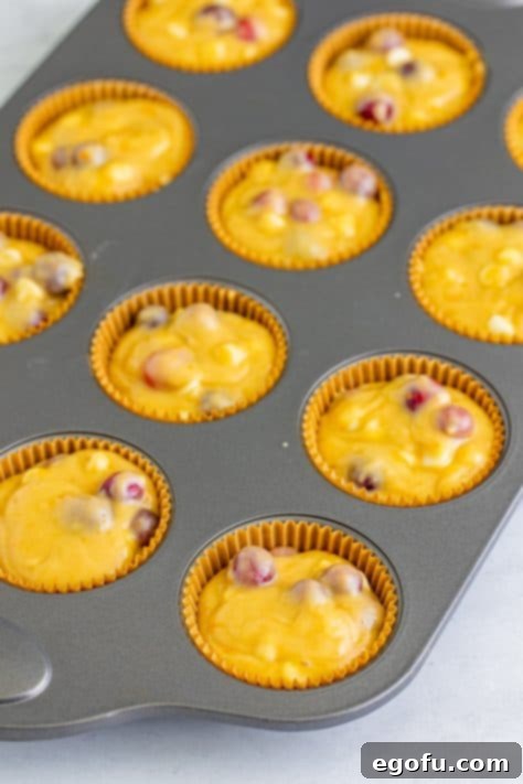 Muffin batter in muffin liners in a tin.