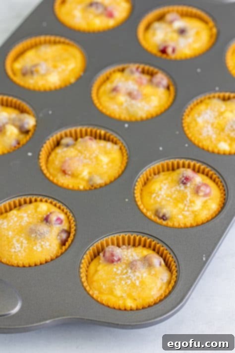 Coarse sugar on top of muffin batter.