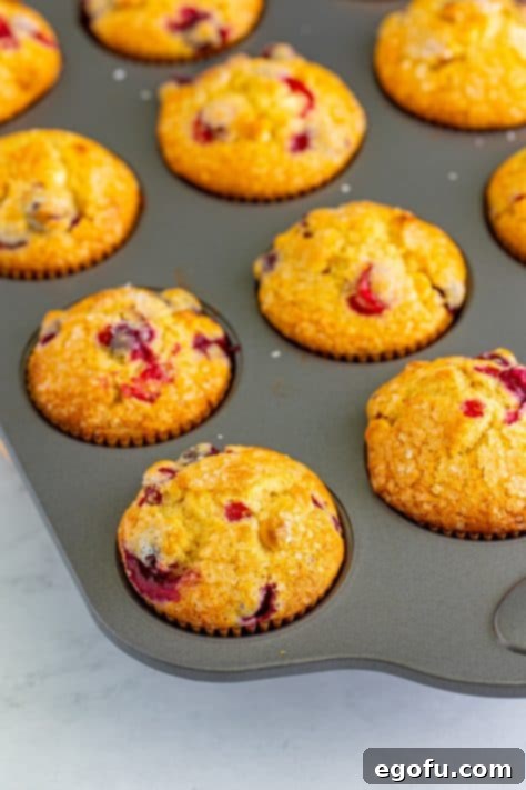 Baked cranberry muffins.