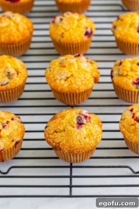 A bunch of muffins on a wire rack.