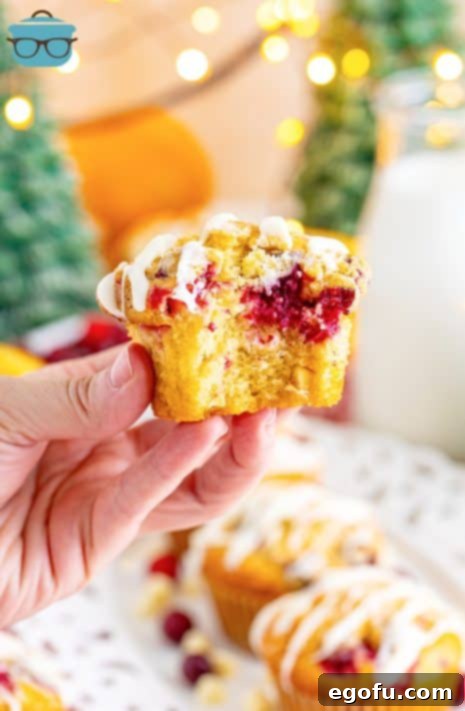 A hand holding a Cranberry Bliss muffin that is missing a bite.