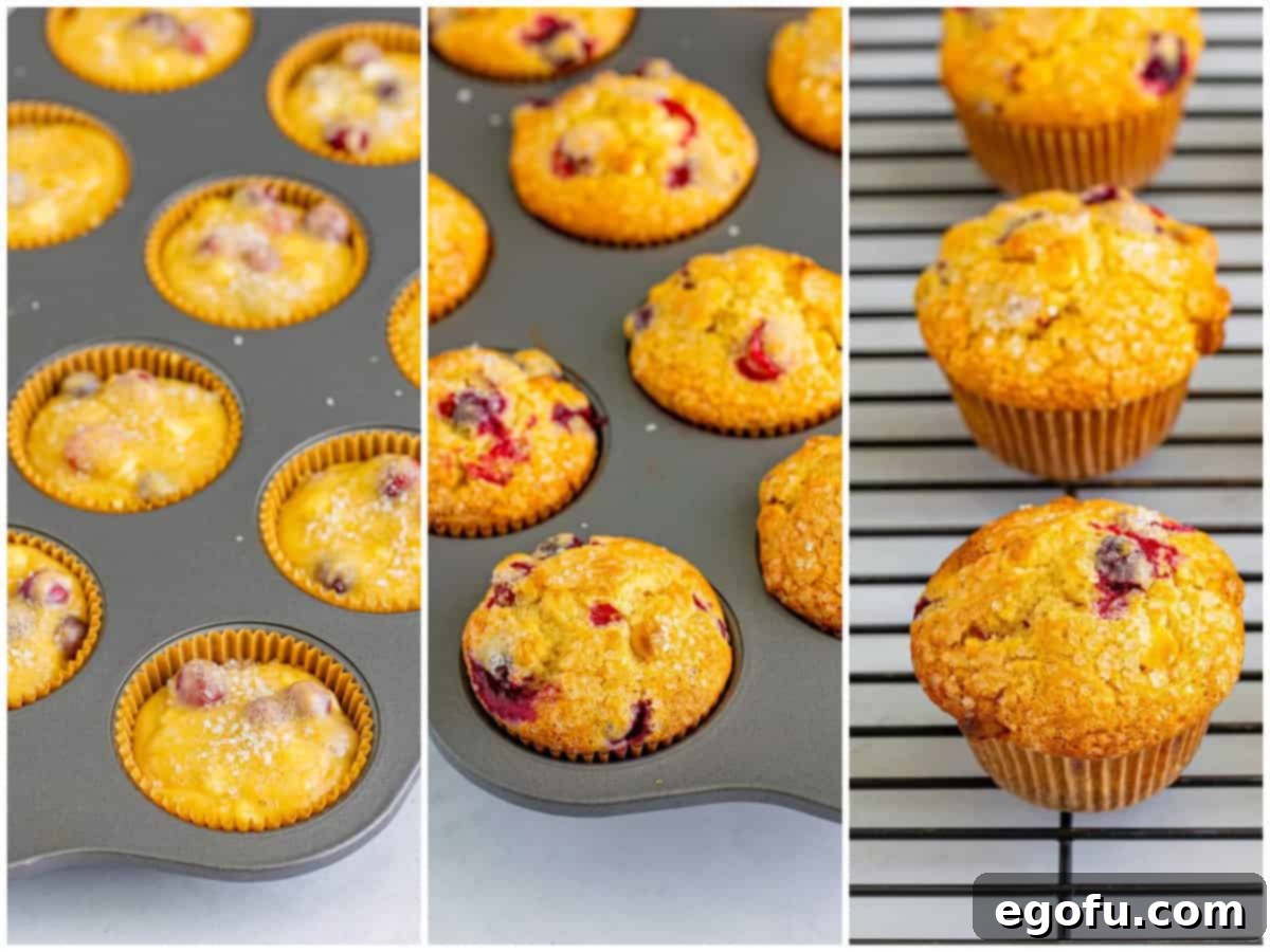 A collage showing coarse sugar on muffin batter, baked muffins in the tin, and muffins cooling on a wire rack.