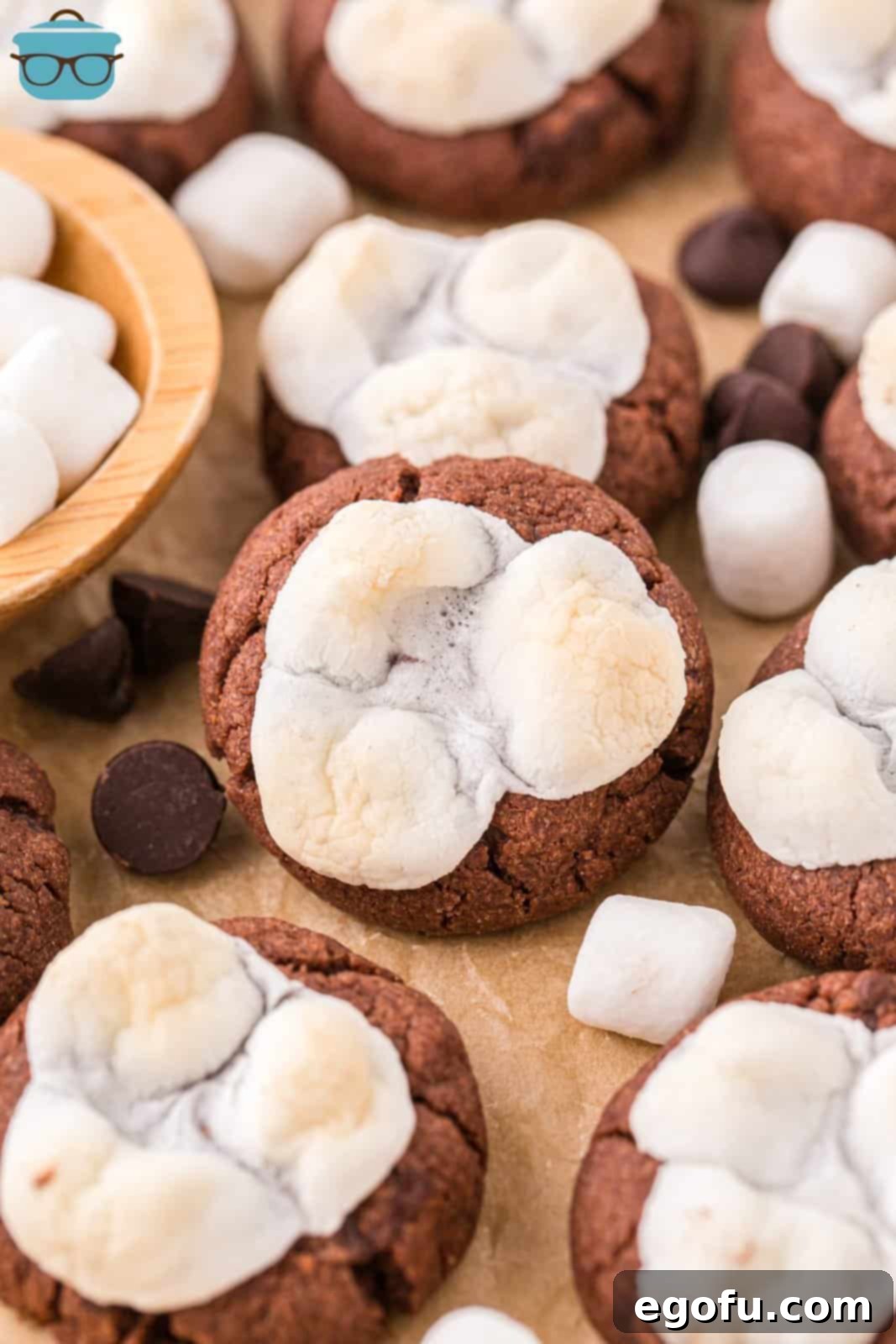 Looking down on a few Hot Chocolate Cookies with toasted marshmallows on top.